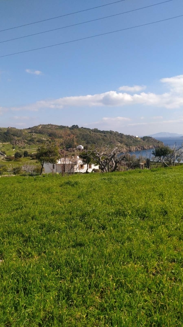 (For Sale) Land Agricultural Land  || Dodekanisa/Patmos - 6.154 Sq.m, 2.500.000€ 