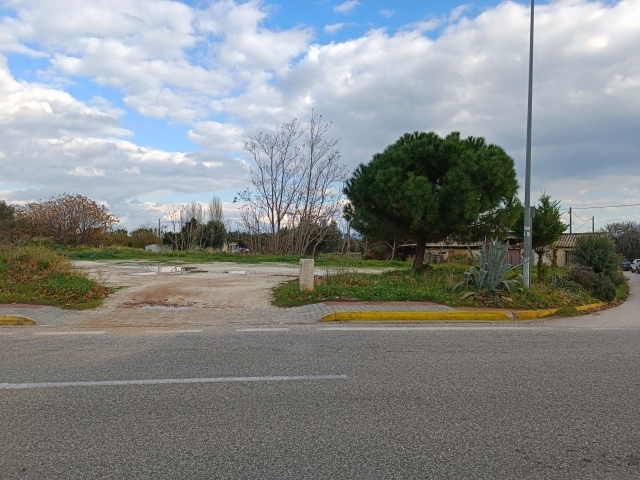 (For Sale) Land Plot || East Attica/Marathonas - 5.000 Sq.m, 140.000€ 