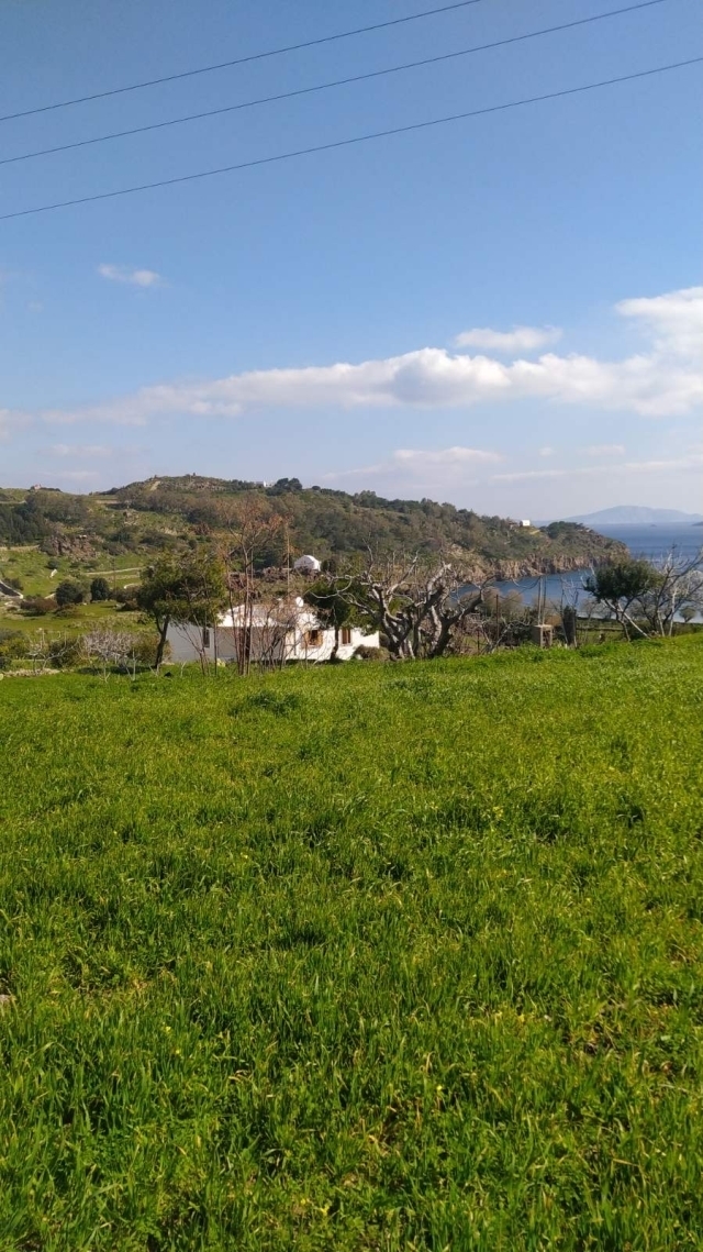 (Προς Πώληση) Αξιοποιήσιμη Γη Αγροτεμάχιο || Δωδεκάνησα/Πάτμος - 6.154 τ.μ, 2.500.000€ 