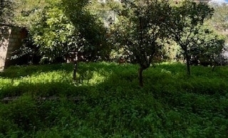 (Προς Πώληση) Κατοικία Διαμέρισμα || Αθήνα Βόρεια/Φιλοθέη - 220 τ.μ, 1.000.000€ 