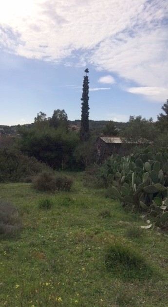 (For Sale) Land Plot || East Attica/Markopoulo Mesogaias - 700 Sq.m, 90.000€ 