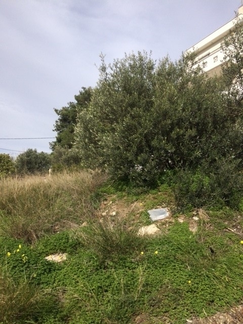 (For Sale) Land Plot || East Attica/Markopoulo Mesogaias - 260 Sq.m, 40.000€ 