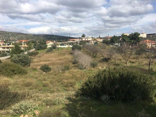 (For Sale) Land Plot || East Attica/Koropi - 7.500 Sq.m, 230.000€ 