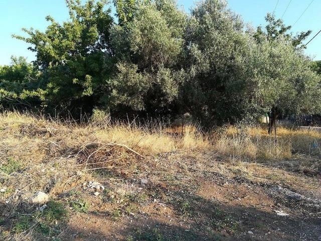 (For Sale) Land Plot || East Attica/ Oropos - 290 Sq.m, 40.000€ 