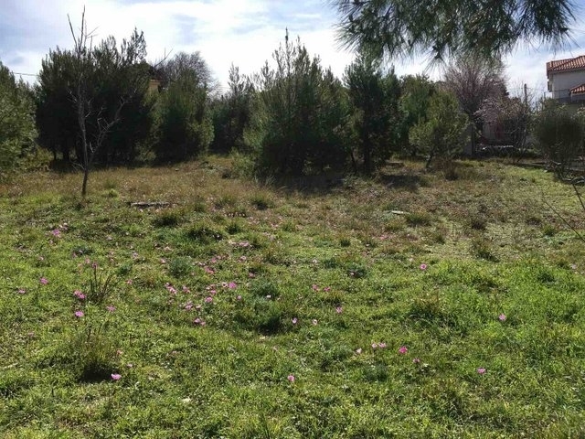 (For Sale) Land Plot || Athens North/Penteli - 1.600 Sq.m, 400.000€ 