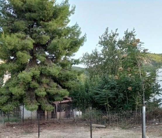 (For Sale) Land Plot || Voiotia/Livadeia - 157 Sq.m, 63.600€ 